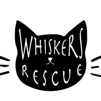 b95ceedc6c985d215f6122d8f81cbf2c2a6fa355